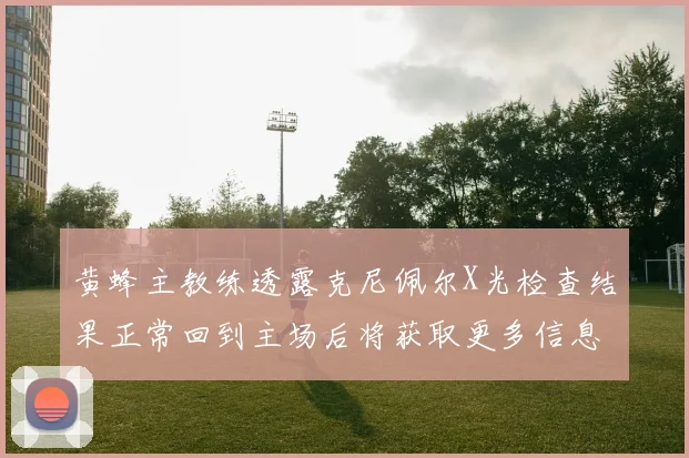 黄蜂主教练透露克尼佩尔X光检查结果正常回到主场后将获取更多信息